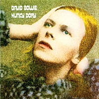 Hunky Dory (180gm)